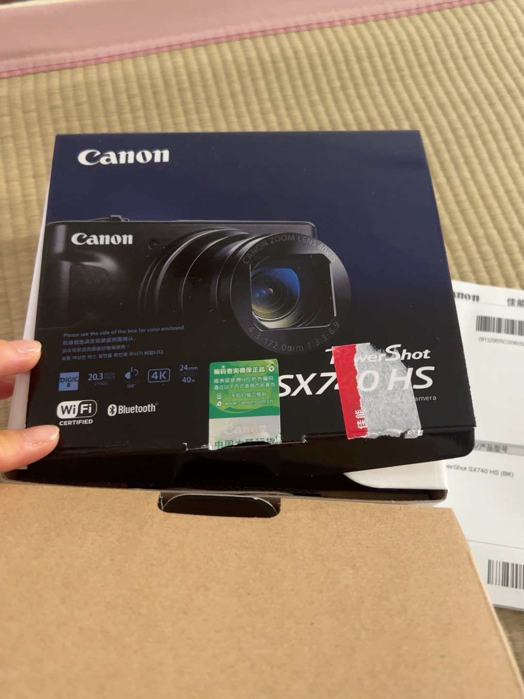 Original image for frozen reference 12 of Canon SX740