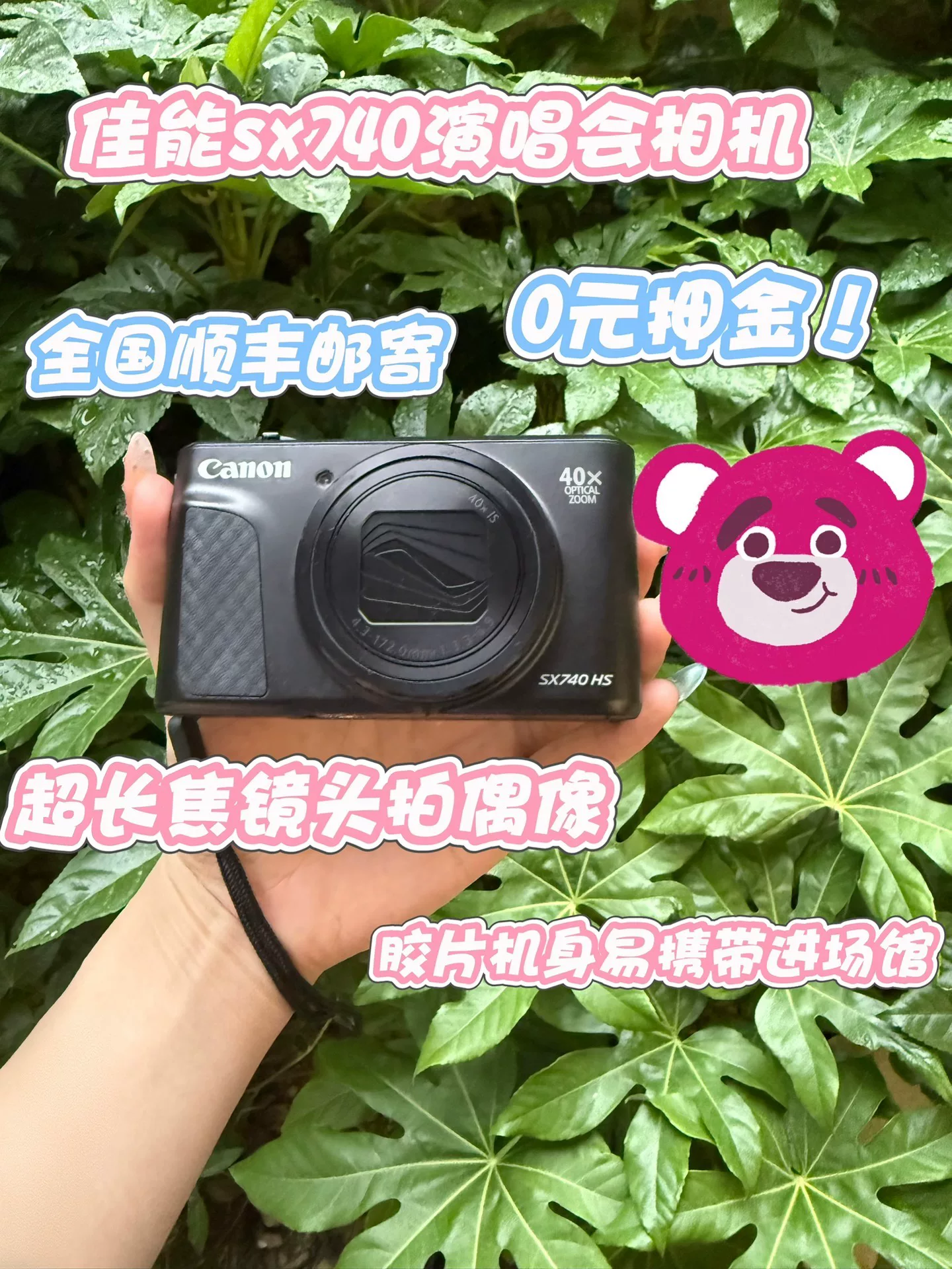 Original image for frozen reference 26 of Canon SX740