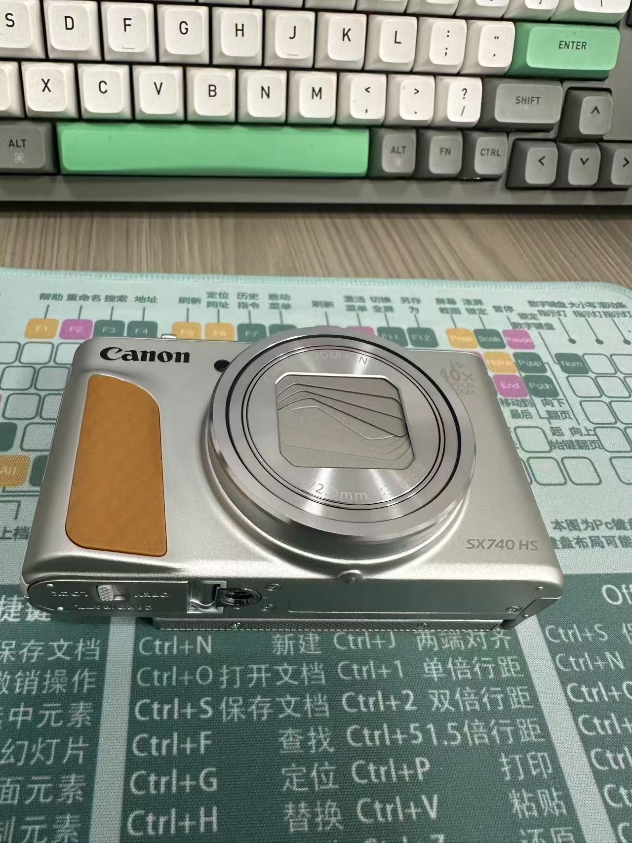 Original image for frozen reference 65 of Canon SX740