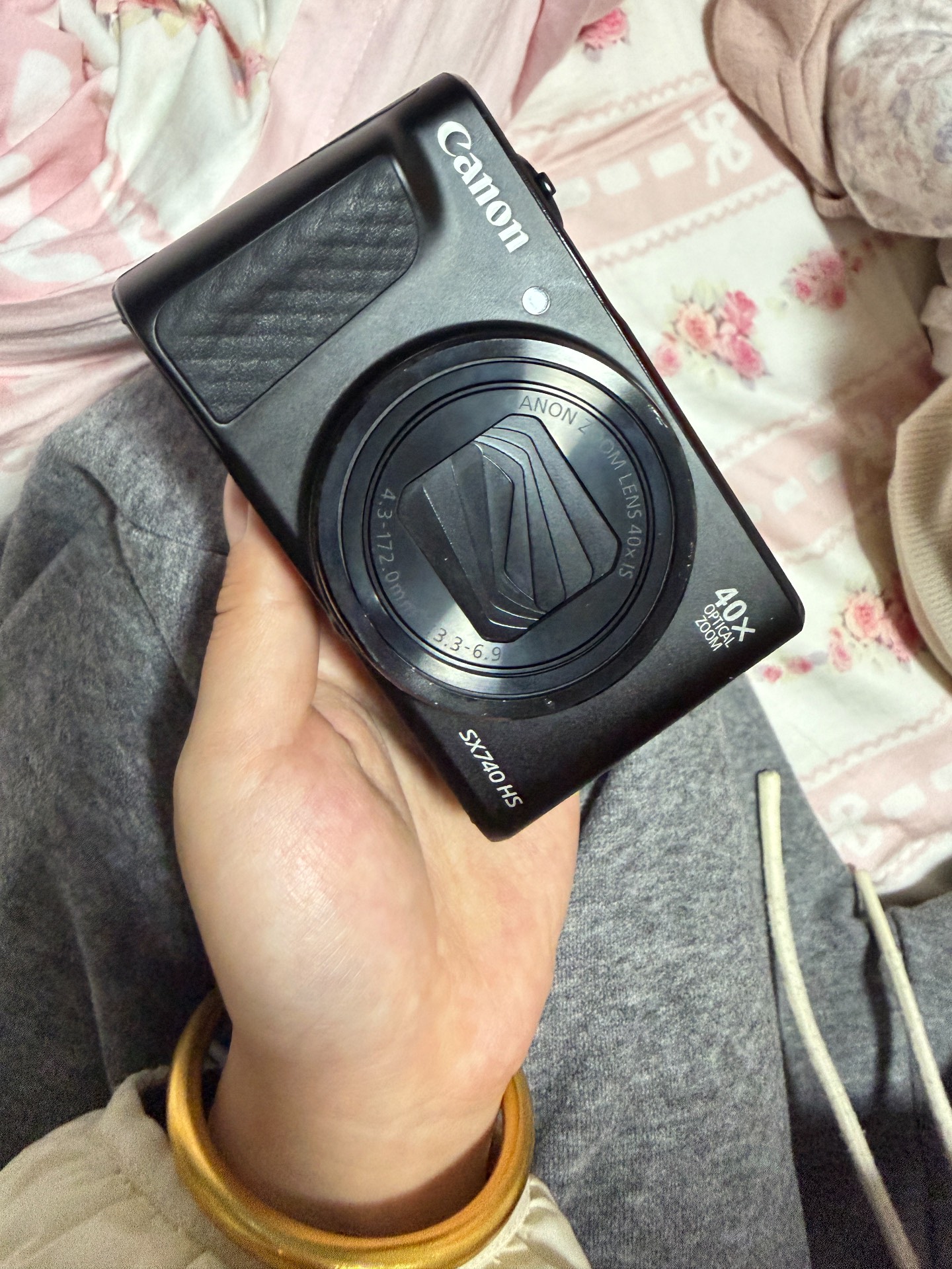 Original image for frozen reference 79 of Canon SX740