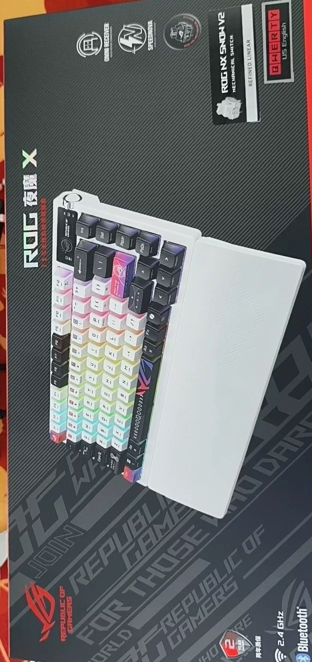 Original image for frozen reference 18 of ROG YeMo X