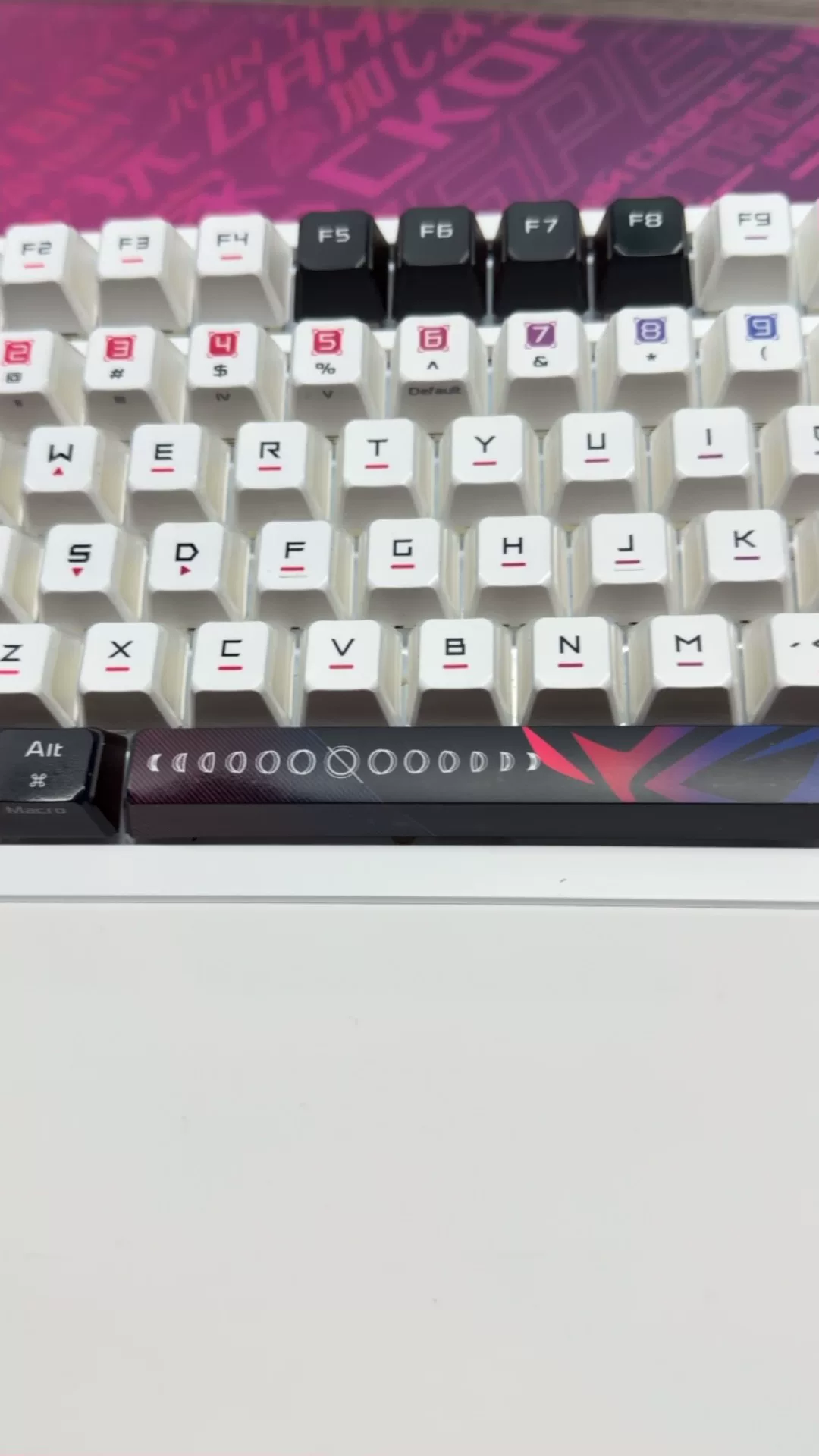Original image for frozen reference 31 of ROG YeMo X