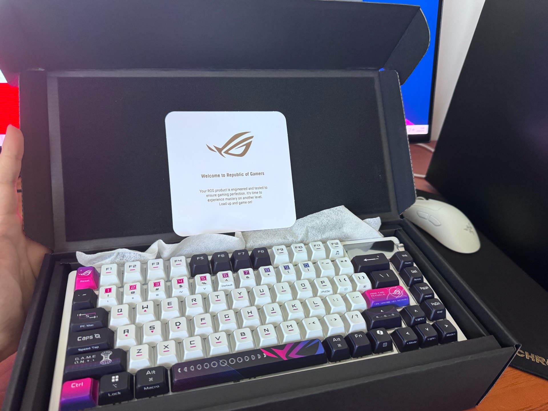 Original image for frozen reference 48 of ROG YeMo X