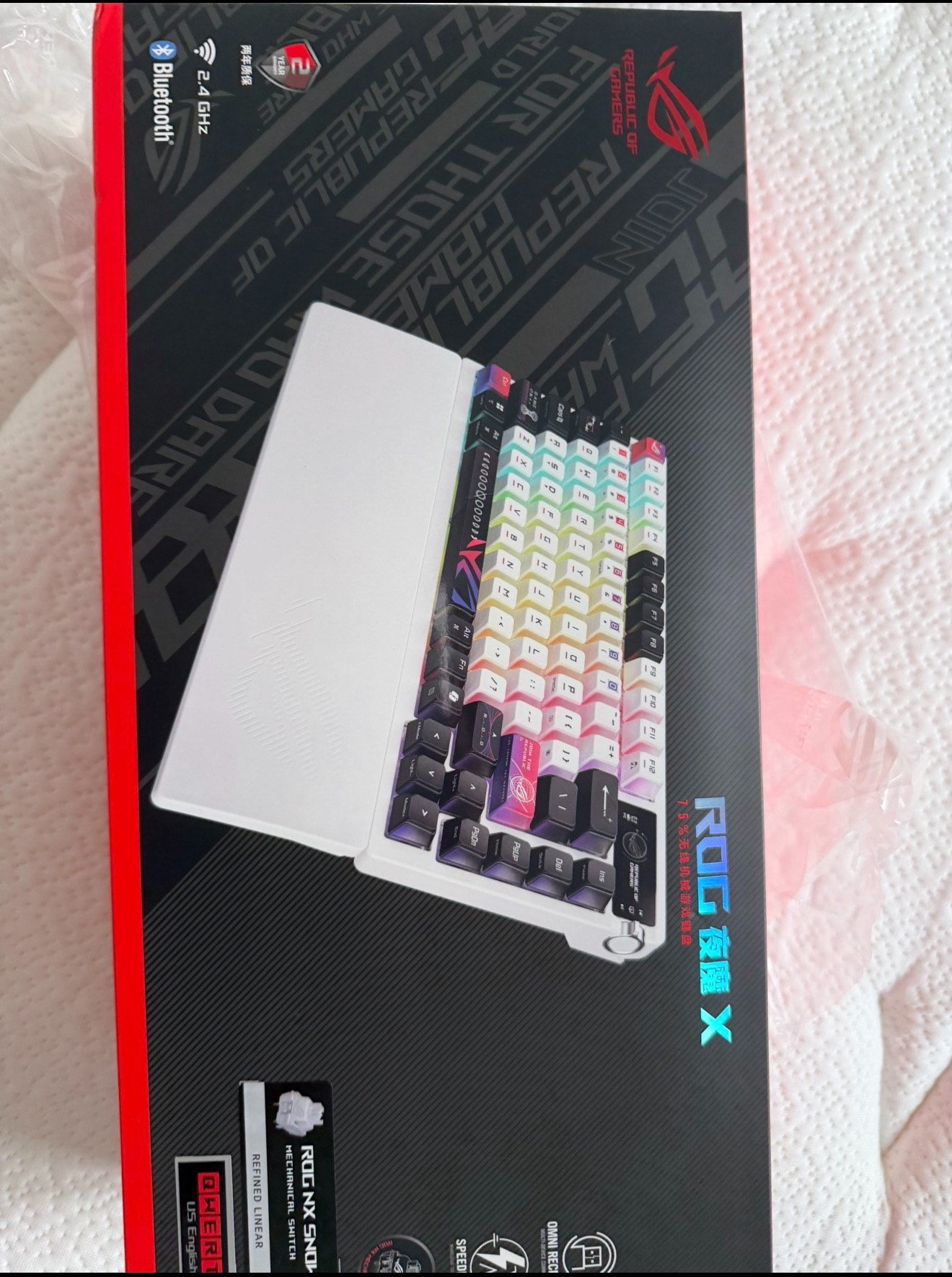 Original image for frozen reference 54 of ROG YeMo X