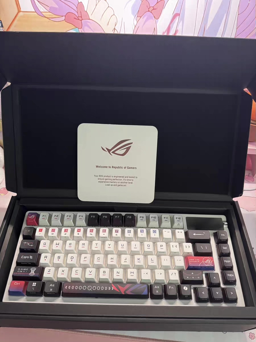 Original image for frozen reference 56 of ROG YeMo X